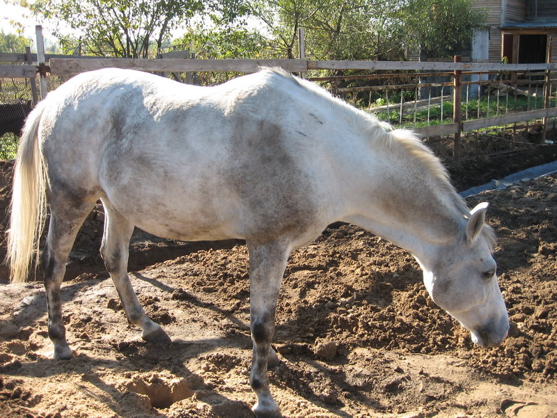 IMG_1293.jpg1.jpg"%20height="600"%20width="800